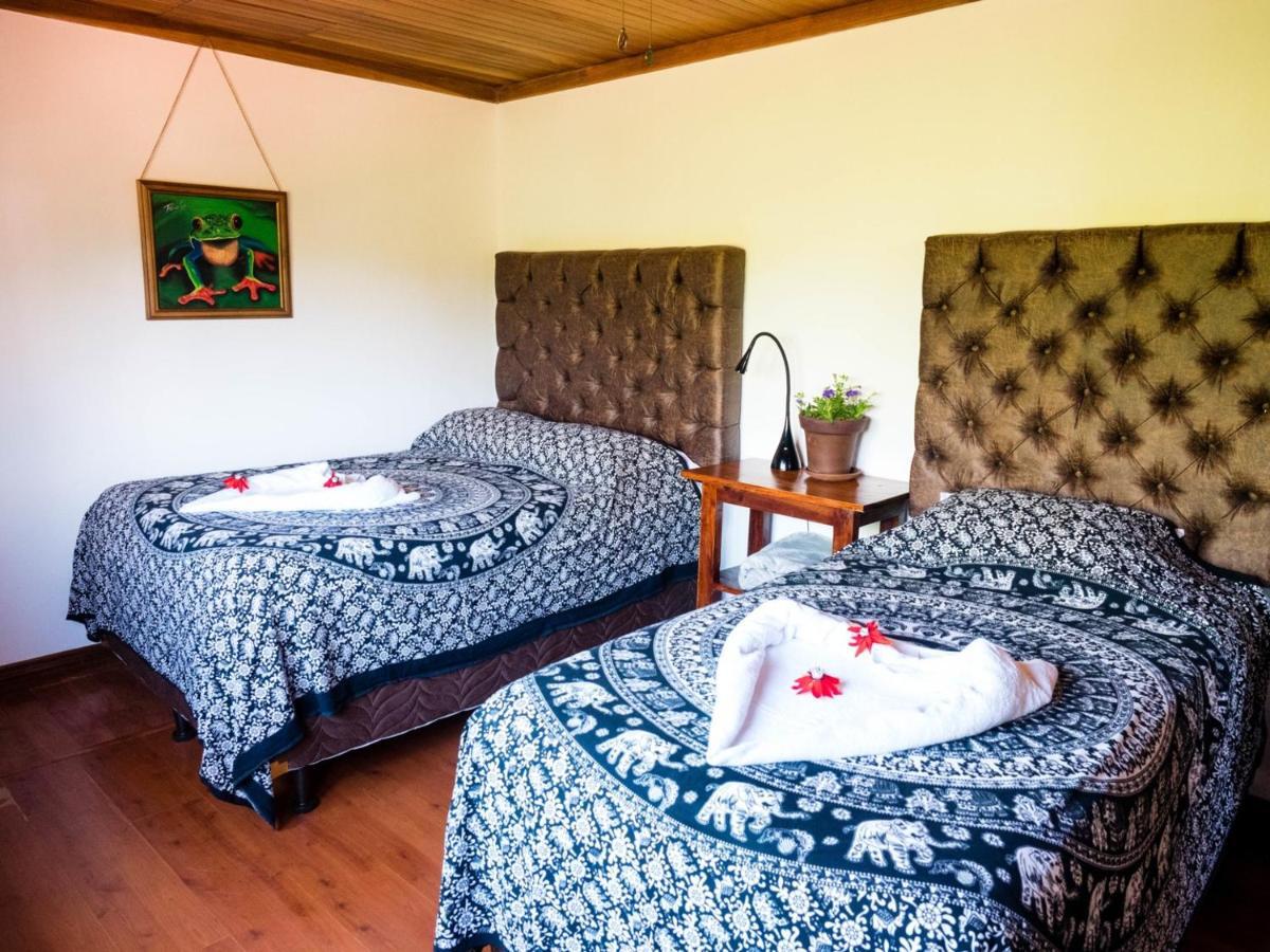 Luna Inn B&B Ciudad Cariari Bagian luar foto