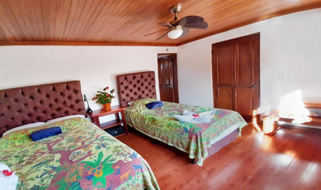 Luna Inn B&B Ciudad Cariari Bagian luar foto